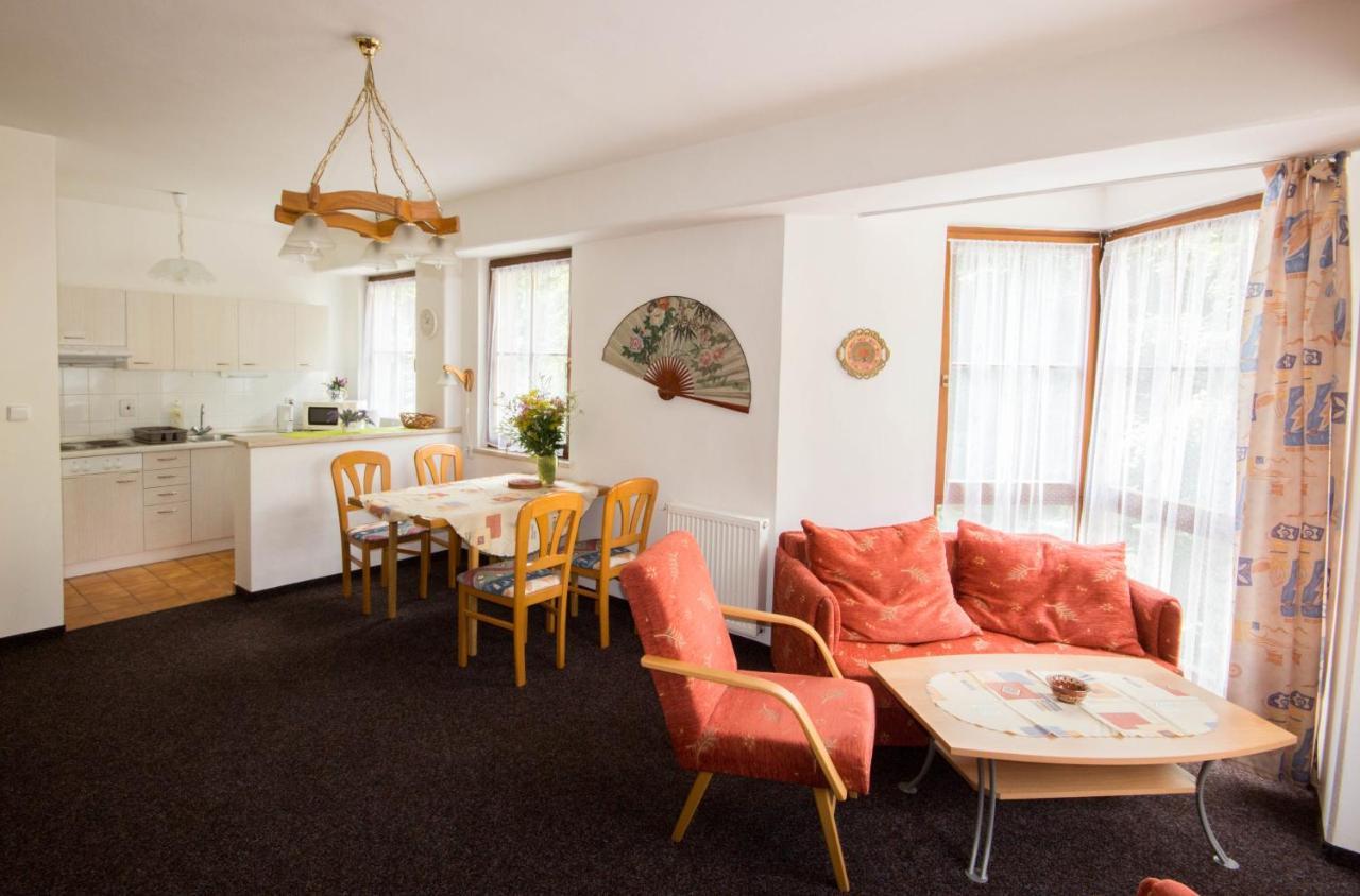 Apartman K Lanovce Daire Jáchymov Dış mekan fotoğraf